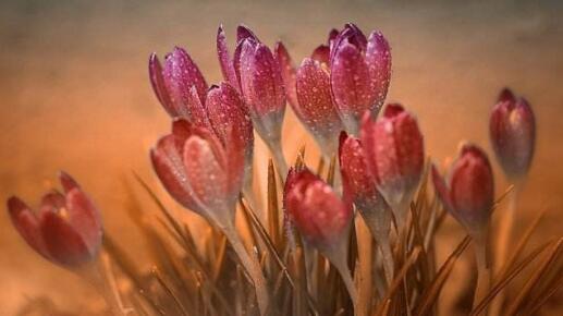 1639987622236756.jpg 1.jpg