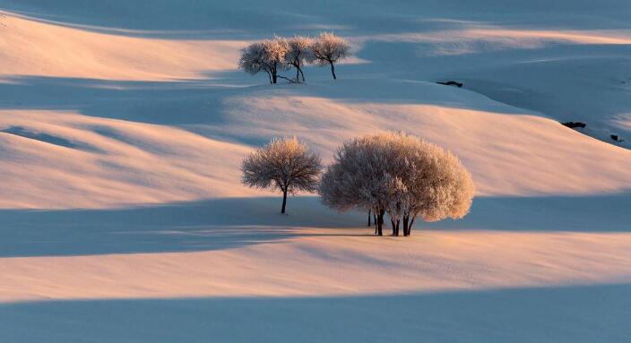 1641274263295439.jpg 1.jpg