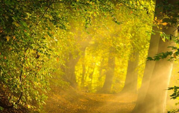 1644393189548045.jpg 1.jpg