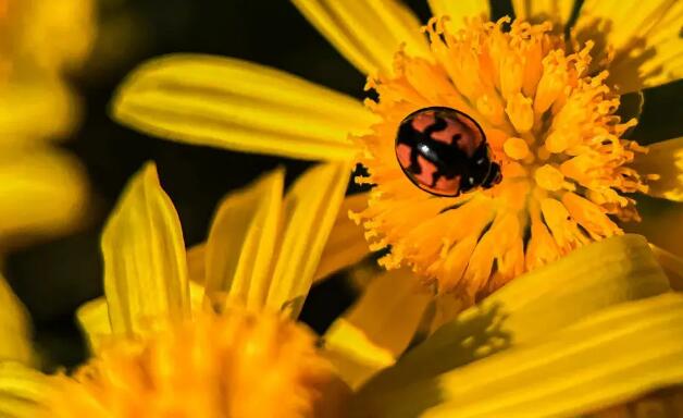 1660895169331599.jpg 1.jpg