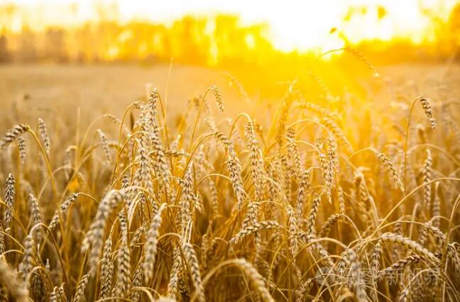 1663126242517538.jpg 1.jpg