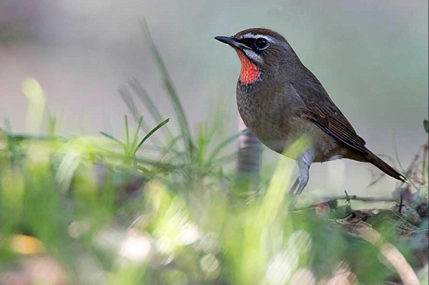 1663213568137241.jpg 1.jpg